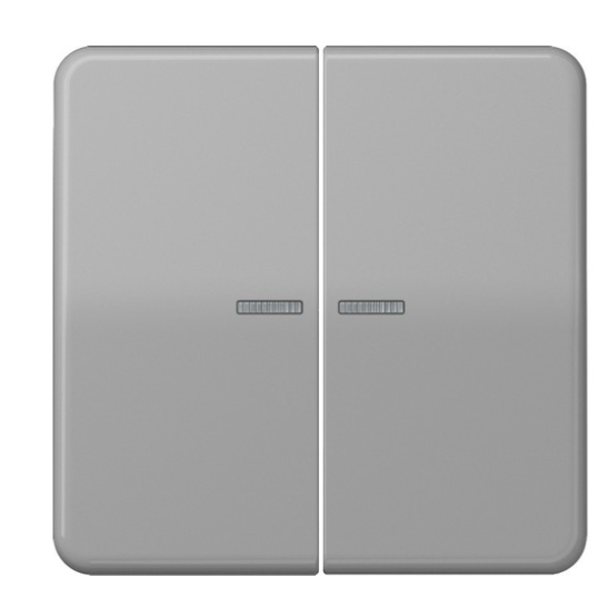 JUNG CD10921STRFGR KNX RF push button, 2 channels, grey