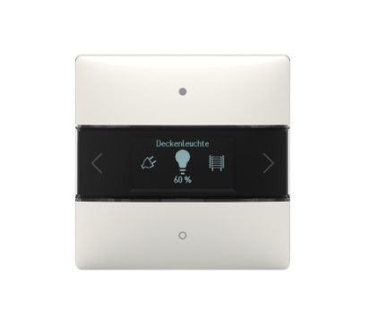 THEBEN 4969238 iON 108 KNX TERMOSTATO MULTIFUNZIONE 20CAN