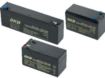 CAME 846XG-0020 BB020 ACCUMULATORE SIGILLATO