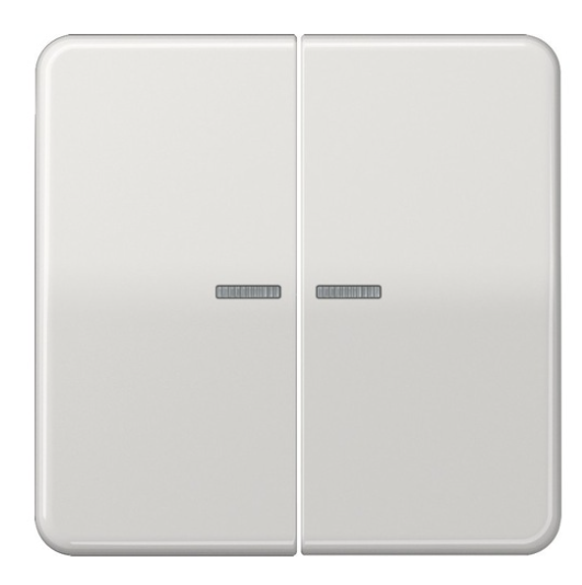 JUNG CD10921STRFLG KNX RF push button, 2 channels, light grey