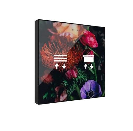 ZENNIO ZVI-F2 ZVI-F2 Flat 2 Backlit capacitive touch switch, 2 buttons, custom