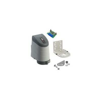 ROGER AY/250/M BRUSHLESS DRIVE MOTOR WITH CONTROL UNIT