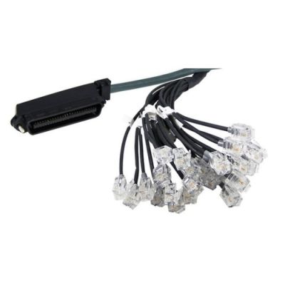 YEASTAR RJ21CABLE-3M RJ21 cable - RJ21 connector on one side - length