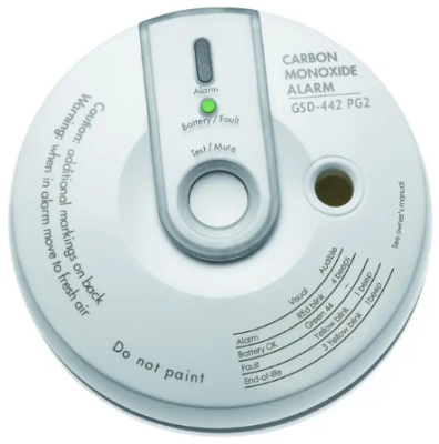 BENTEL BW-COD Carbon monoxide detector with int siren