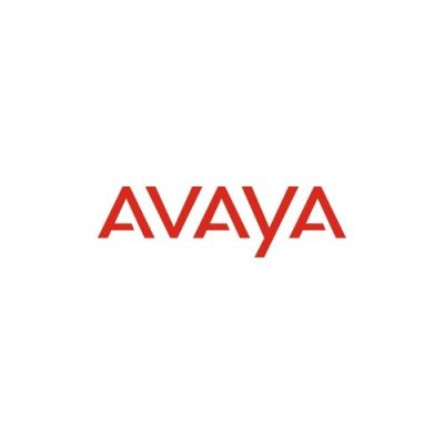 700514599 AVAYA B109 LOCKING KIT