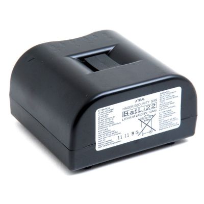 DAITEM BatLi22 2 x lithium battery (3.6 V / 13 AH)