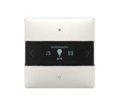 THEBEN 4969238 iON 108 KNX TERMOSTATO MULTIFUNZIONE 20CAN