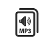 NICE TORNELLI ALRMP3 Modulo MP3 riproduzione messaggio vocale-audio in caso di violazione