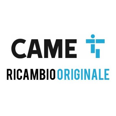 CAME 818SL-0039 FLUO-SLE EMERGENCY PORTA L6600 2 ANTE