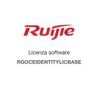 RGOCEIDENTITYLICBASE Ruijie OCE Identity Base Edition, including: 20 cm