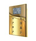 ZENNIO ZVI-TMDD-G Room controller + temperatura, cornice oro