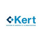 KERT KAF60W1O PWS open 110-230 12Vdc 4A