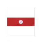 1912L Fadini 1912l Red Rectangular Reflective Sticker