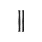 APC UPS AR7721 GESTIONE CAVI VERTICALI PER NETSHELTER SX 600MM LARGHEZZA 42U 