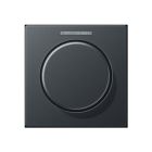 JUNG A1540BFKO5ANM Mascherina con uscia luce per pulsante rotativo KNX- antracite opaco