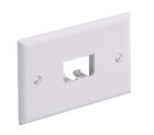 PANDUIT CFPH2AW Faceplate- 2 Port- Single Gang- Horizontal- Arctic