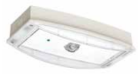 COOPER CSA LIGHTING IP65PLA3HCGL i-P65+ L SYMMETRICAL 3H SA/SE CGLine+ ALUMINIUM