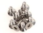 9152904 2N IP Safety Torx screw silver