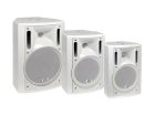 ITC AUDIO 1900-356601 CPM/T60 B MDF loudspeaker 60W- col. white