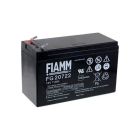 ROGER BT12V70 12V 7 Ah LEAD ACID BATTERY