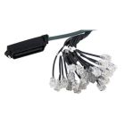 YEASTAR RJ21CABLE-2M Cavo RJ21 - Connettore RJ21 da un lato - lunghezza