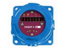 SENSITRON SSS4A 18 Elettronica con 1 uscita RS+4-20mA, LED display, scheda 3 relè, modem Hart 