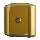 CDVI BECDNBP GOLD-COLORED ALUMINUM FRONT FOR BUTTON