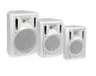 ITC AUDIO 1900-353301 CPM/T30 B Cassa acustica in MDF 30W- col. bianco
