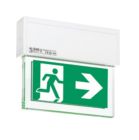 COOPER CSA LIGHTING 40071350902 RZ 1703 LED CG-S LUMINAIRE