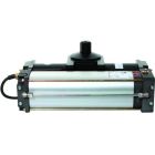 BFT P930013 00007 SUB ER DX
