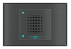 EKINEX EK-VA2-WL-GAF Voice Assistant I perform for wall installation