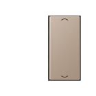 JUNG A402TSAPCH Copritasto per sens. 2 canali-c. simb. mod. A500- champagne