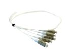 BETA CAVI PTULCOM405 Pig Tail LC UPC OM4 0.5 mt