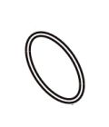 RIB IDA1034 R GUARNIZ.TENUTA CANNA C27 ZT4