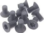 9151909 2N IP Force Torx screw black