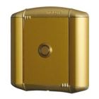 CDVI BECDNBP FRONTALE IN ALLUMINIO COLORE ORO PER PULSANTE